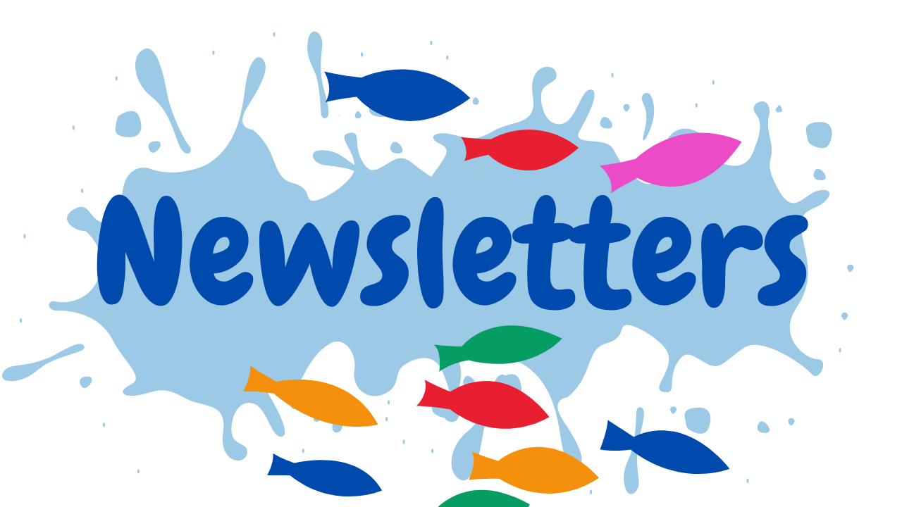 Card-Header-Newsletter